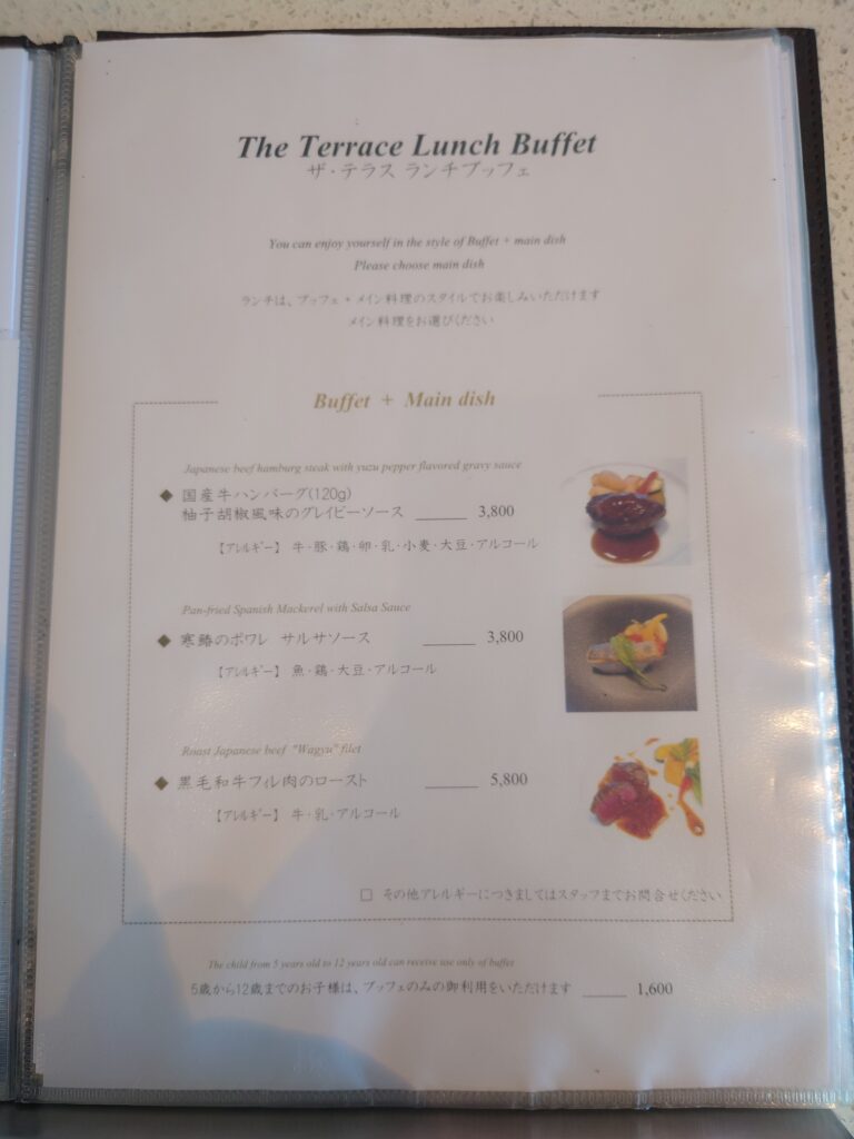 ザ・テラス,日本平ホテル,ランチ,清水,日本平,ビュッフェ,駐車場,メニュー