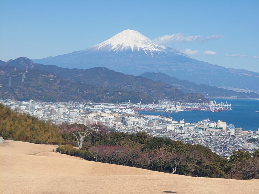 ザ・テラス,日本平ホテル,ランチ,清水,日本平,ビュッフェ,駐車場,メニュー,ハンバーグ,魚,ステーキ,デザート