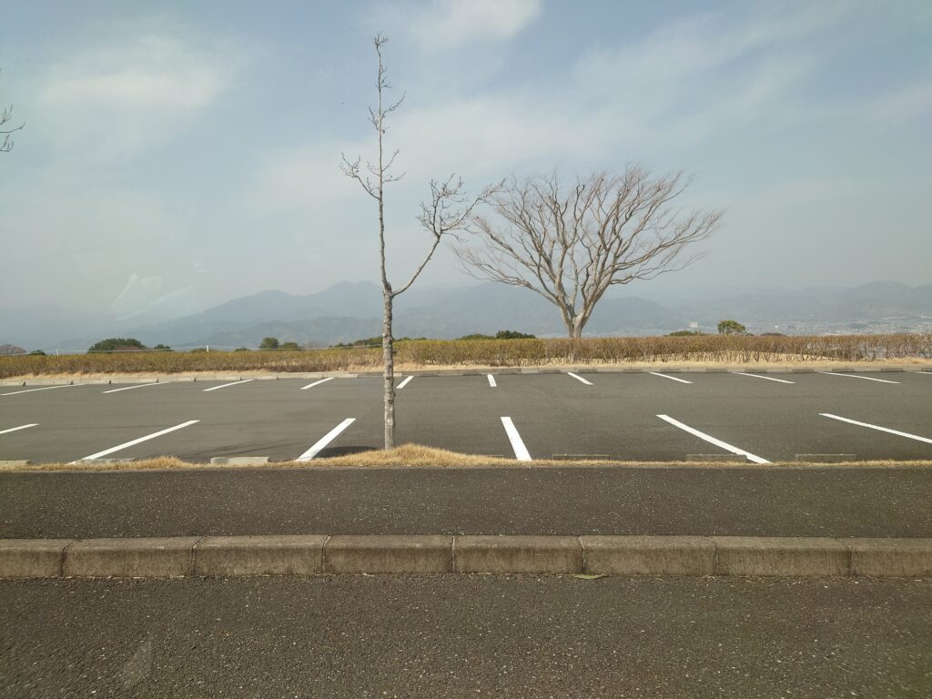 ザ・テラス,日本平ホテル,ランチ,清水,日本平,ビュッフェ,駐車場