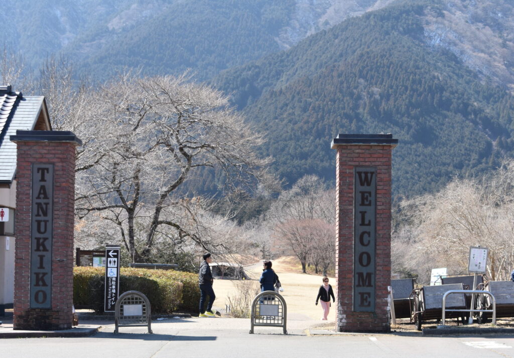 田貫湖