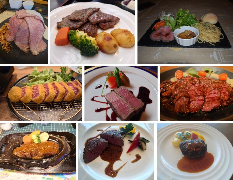 静岡グルメステーキ焼肉ローストビーフ