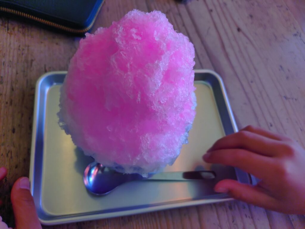 望月竹次郎商店,興津カフェ,清水,駄菓子屋,かき氷