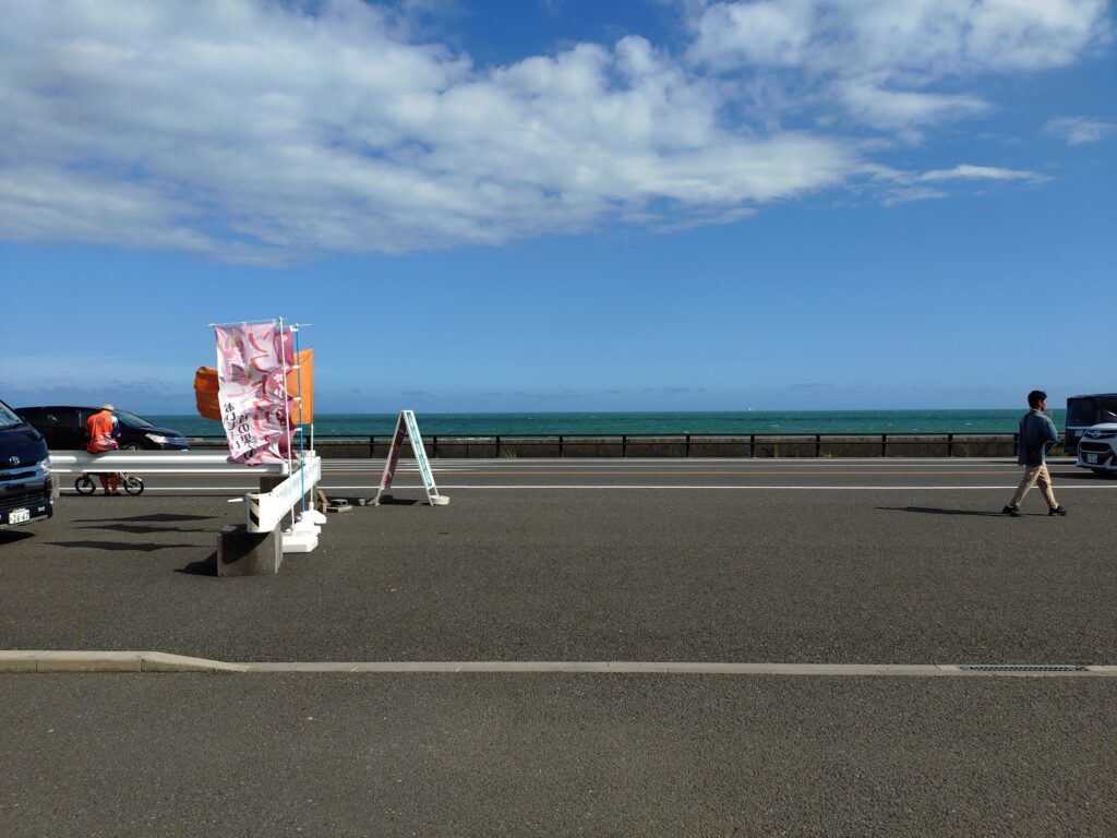 カフェいちご畑,イチゴ海岸通り,清水,駿河,かき氷,パフェ,カフェ,駿河湾,いちご狩り