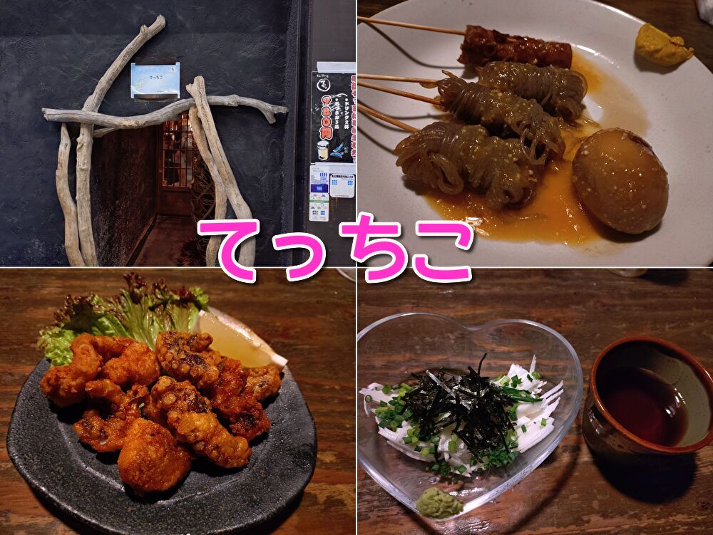 静岡グルメ、静岡,おでん,居酒屋,喫煙,子ども連れ,てっちこ,清水,もつカレー,メニュー,定休日,営業時間