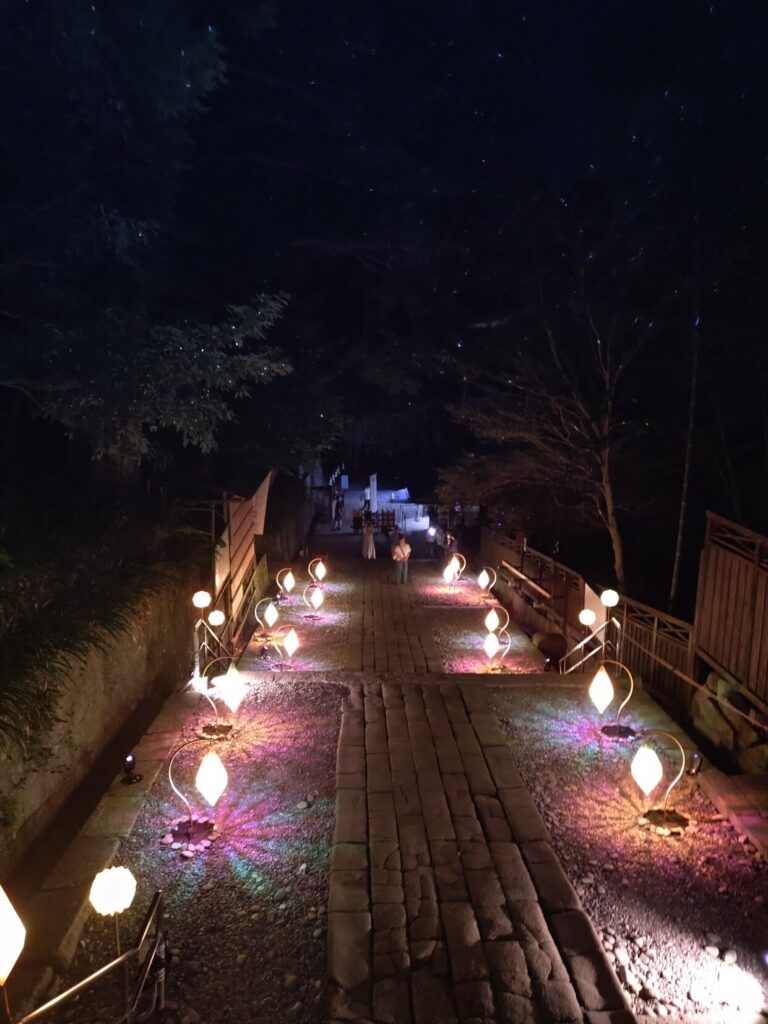 夜間特別拝観,日本平ロープウェイ,徳川家康公,静岡,清水,神社,久能山,久能山東照宮,夜,いろどり,イベント,夜間,ロープウェイ,料金,割引,当日,前日,レビュー,体験,駐車場,行き方