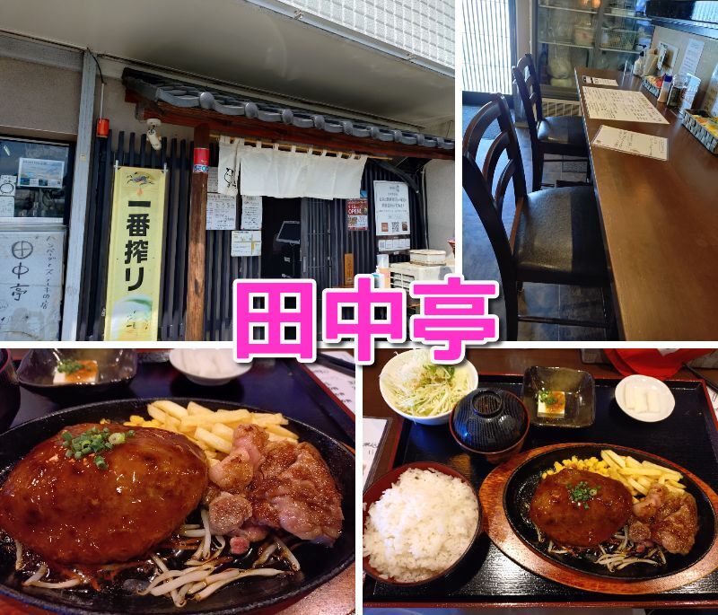 田中亭,三島,静岡,ハンバーグ,人気,有名,三島スカイウォーク,駐車場,定休日,営業時間,予約,子ども連れ,ランチ,ステーキ,肉,おすすめ