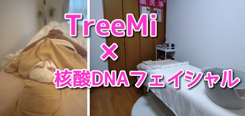 TreeMi,ツリーミー,脳洗浄,核酸,フェイシャル,フォーデイズ,静岡,核酸DNA,子ども連れ,場所,定休日,駐車場,レビュー,体験