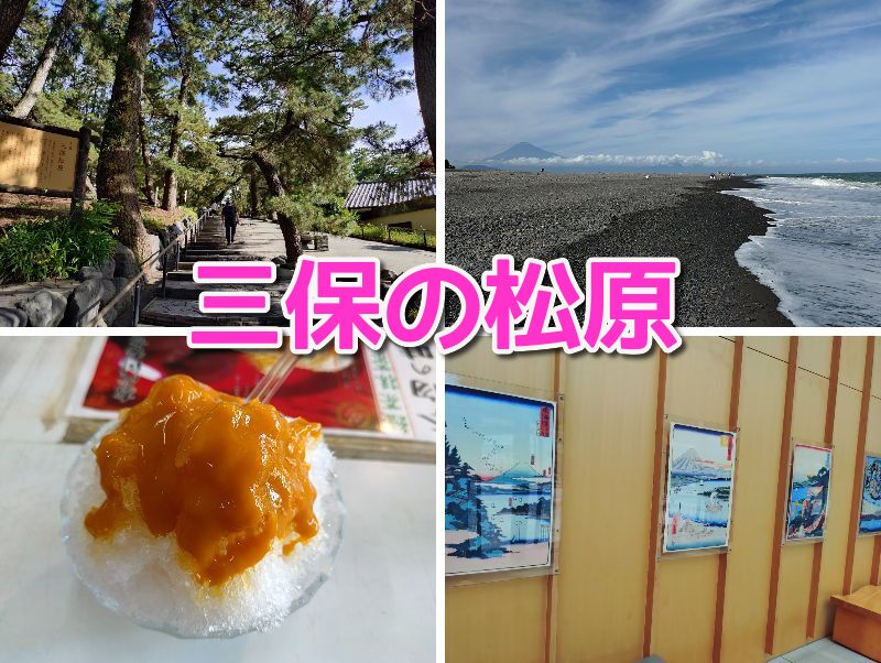 三保,観光,静岡,海,富士,暴れん坊将軍,羽衣伝説,みほしるべ,定休日,営業時間,駐車場,足湯,松葉かき,子ども,神の道,土産屋,いちまる水産