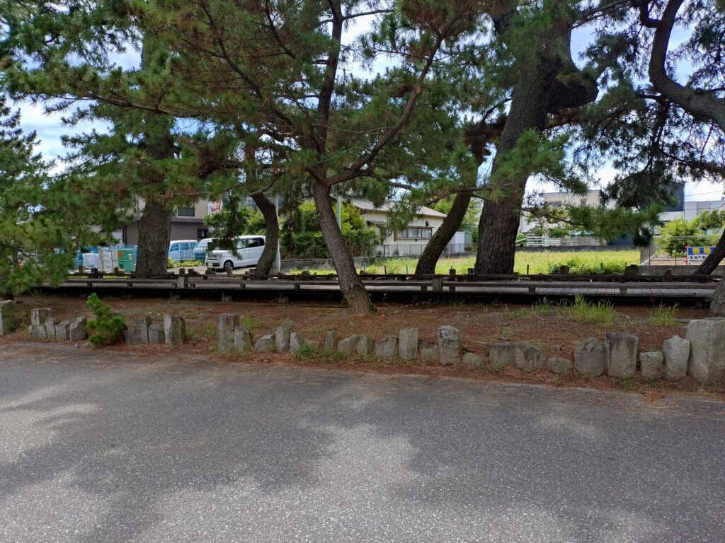 カゼッタ ディ シュウ,三保,清水,ランチ,静岡,犬,子ども,ドッグラン,カフェ,ランチ,パスタ,洋食,デザート,営業時間,駐車場,営業時間