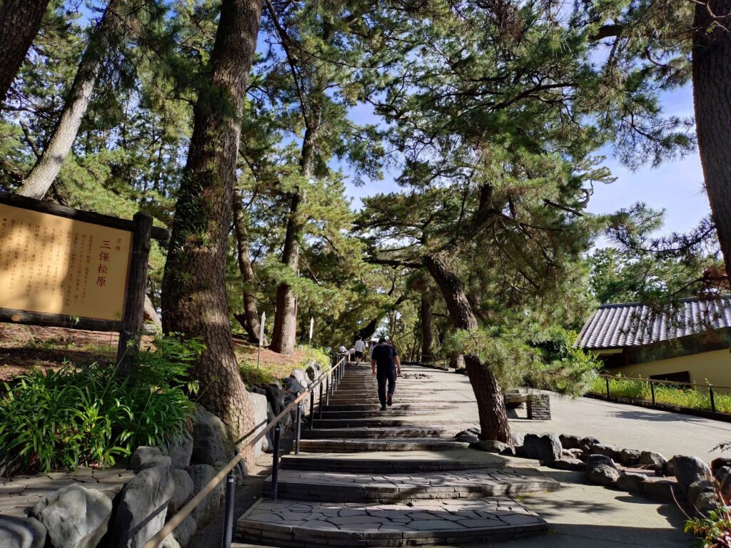 三保,観光,静岡,海,富士,暴れん坊将軍,羽衣伝説,みほしるべ,定休日,営業時間,駐車場,足湯,松葉かき,子ども,神の道,土産屋,いちまる水産,エスパルス