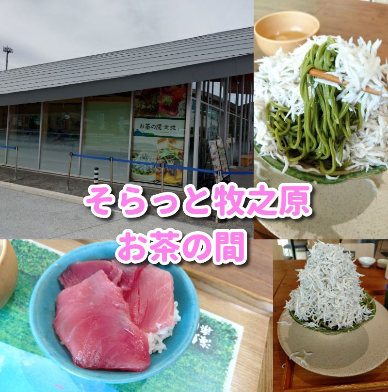 そらっと牧之原,お茶の間食堂,静岡,牧之原,道の駅,カフェ,レストラン,食事,子ども,デザート,観光,静岡,静岡グルメ,ランチ,子連れ,ベビーカー,駐車場,予約,定食,食堂,スイーツ