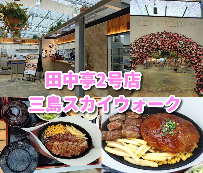 田中亭,三島スカイウォーク,三島,ハンバーグ,2号店,営業時間,ランチ,駐車場,メニュー,本店,ステーキ,定休日