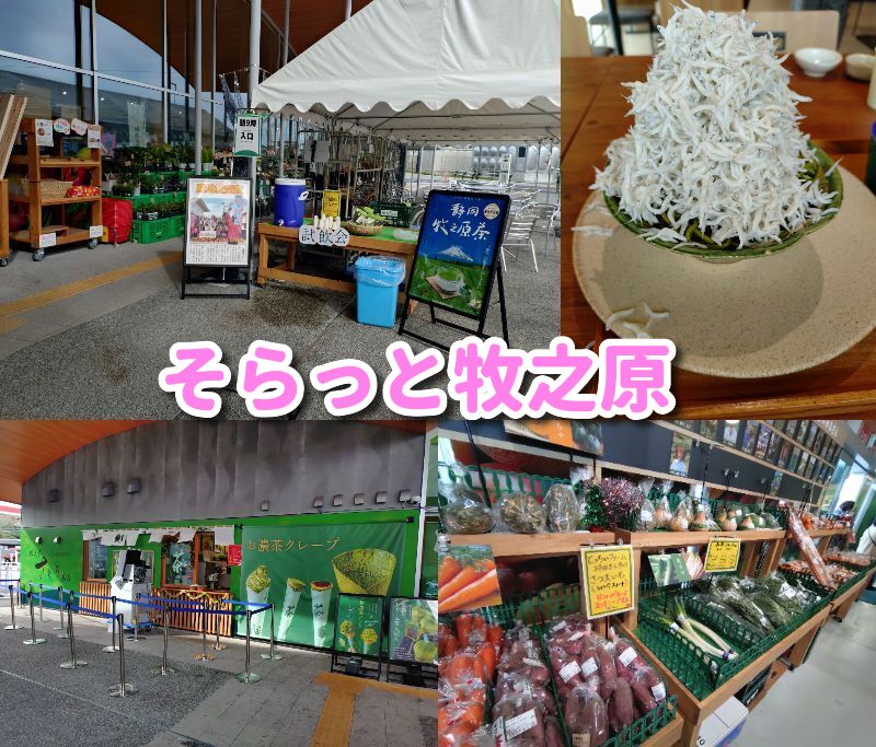 そらっと牧之原,道の駅,牧之原,ランチ,スイーツ,グルメ,定休日,営業時間,駐車場,行き方,お茶の間食堂,さとり,おススメ,レビュー