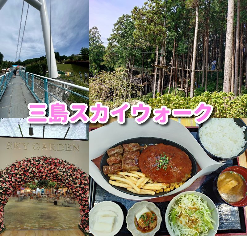 三島スカイウォーク,三島,スカイウォーク,静岡,観光,絶景スポット,吊り橋,駐車場,富士山,見える,子ども,カップル,デート,家族,駐車場,定休日,ランチ,アクティビティ,雨の日,見どころ,モデル,料金,アクティビティ,犬