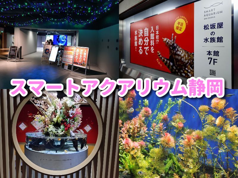 スマートアクアリウム,静岡,水族館,松坂屋,アクアリウム, 静岡,子連,室内,デート,おススメ,定休日,駐車場,料金,いくら,営業時間,雨の日,遊び場,観光,子ども,