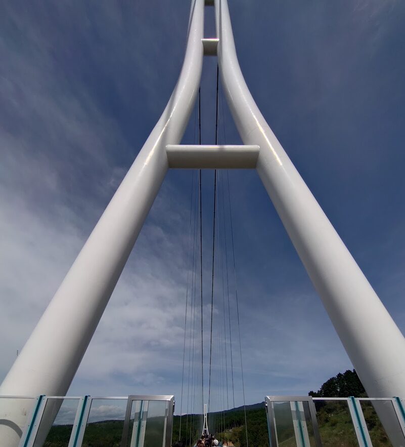 三島スカイウォーク,三島,スカイウォーク,静岡,観光,絶景スポット,吊り橋,駐車場,富士山,見える,子ども,カップル,デート,家族,駐車場,定休日,ランチ,アクティビティ,雨の日,見どころ,モデル,料金,アクティビティ,犬
