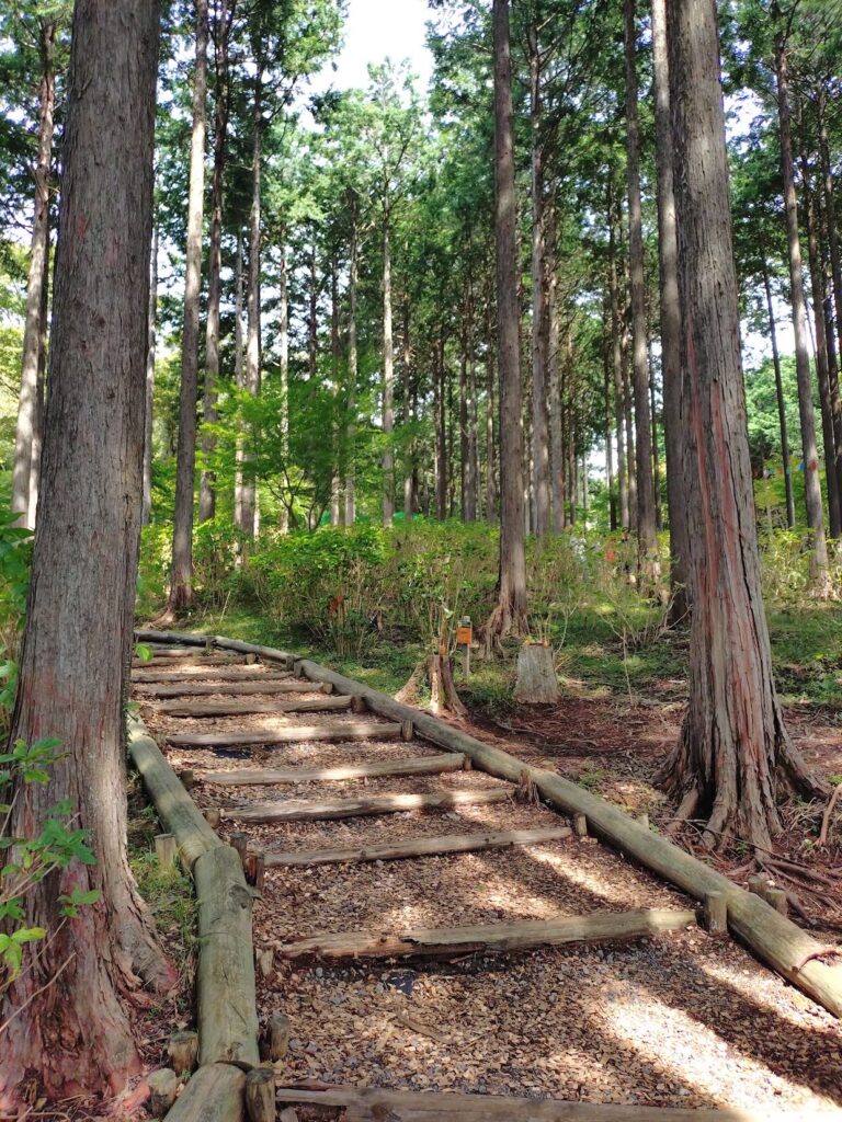 三島スカイウォーク,三島,スカイウォーク,静岡,観光,絶景スポット,吊り橋,駐車場,富士山,見える,子ども,カップル,デート,家族,駐車場,定休日,ランチ,アクティビティ,雨の日,見どころ,モデル,料金,アクティビティ,犬
