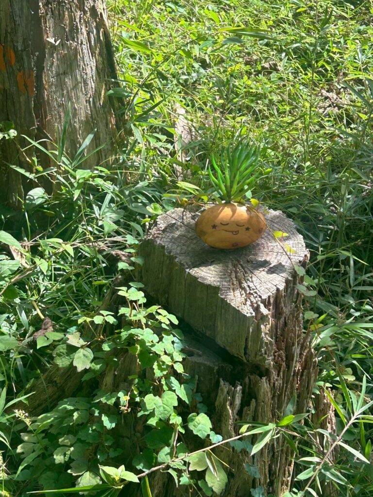 三島スカイウォーク,三島,スカイウォーク,静岡,観光,絶景スポット,吊り橋,駐車場,富士山,見える,子ども,カップル,デート,家族,駐車場,定休日,ランチ,アクティビティ,雨の日,見どころ,モデル,料金,アクティビティ,犬