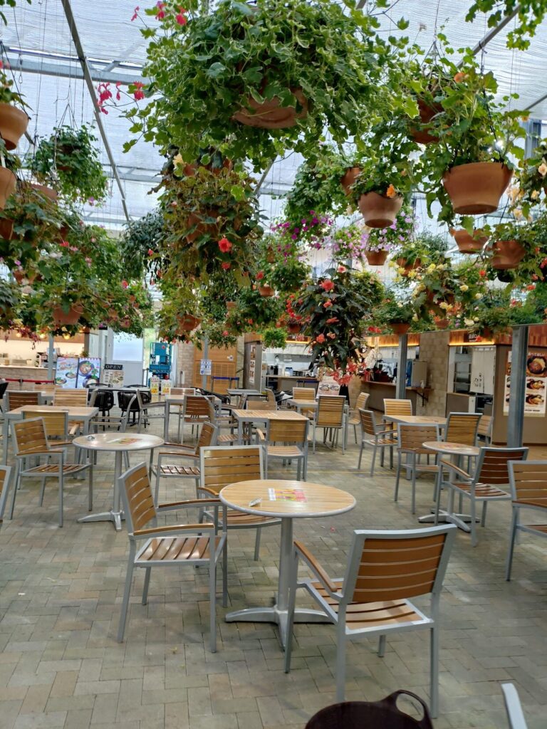 三島スカイウォーク,三島,スカイウォーク,静岡,観光,絶景スポット,吊り橋,駐車場,富士山,見える,子ども,カップル,デート,家族,駐車場,定休日,ランチ,アクティビティ,雨の日,見どころ,モデル,料金,アクティビティ,犬