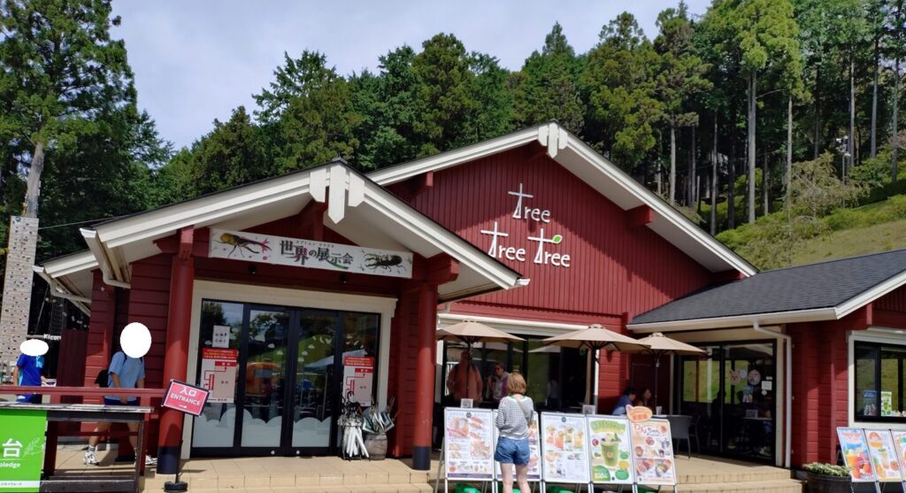三島スカイウォーク,三島,スカイウォーク,静岡,観光,絶景スポット,吊り橋,駐車場,富士山,見える,子ども,カップル,デート,家族,駐車場,定休日,ランチ,アクティビティ,雨の日,見どころ,モデル,料金,アクティビティ,犬