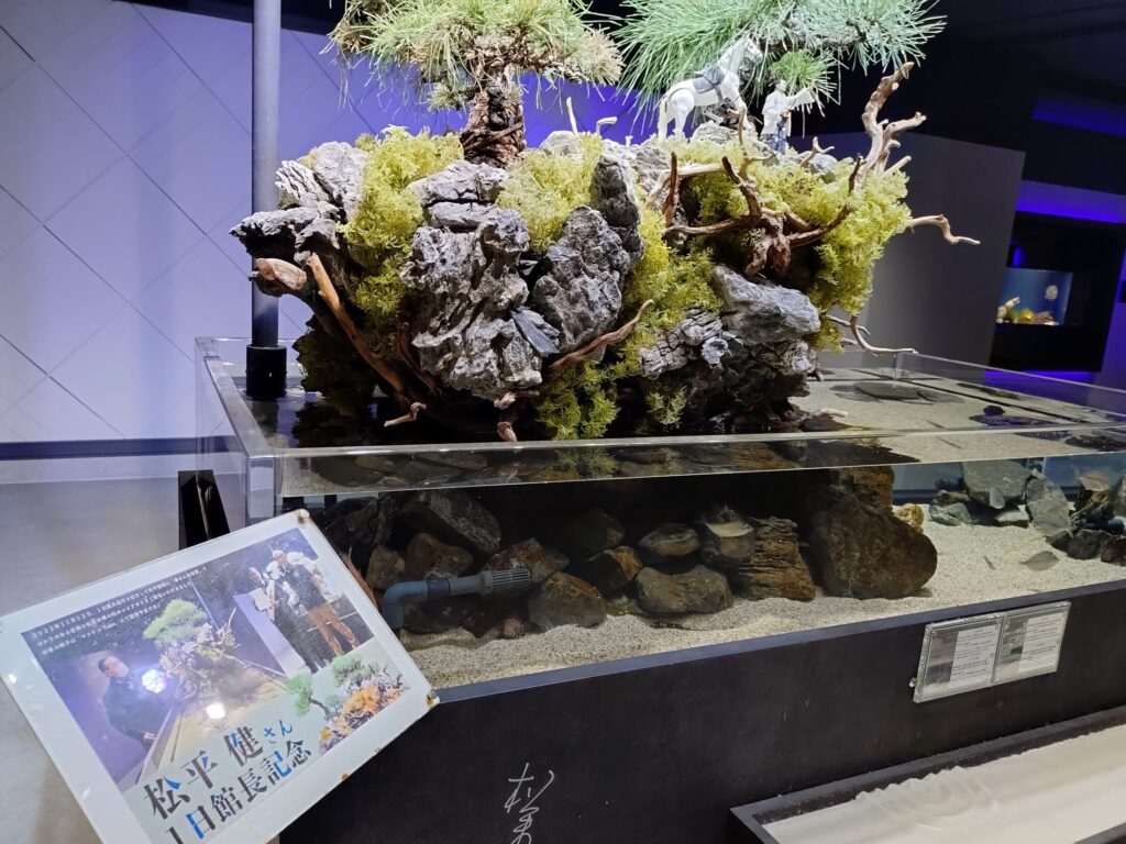 スマートアクアリウム,静岡,水族館,松坂屋,アクアリウム,
静岡,子連,室内,デート,おススメ,定休日,駐車場,料金,いくら,営業時間,雨の日,遊び場,観光,子ども,  