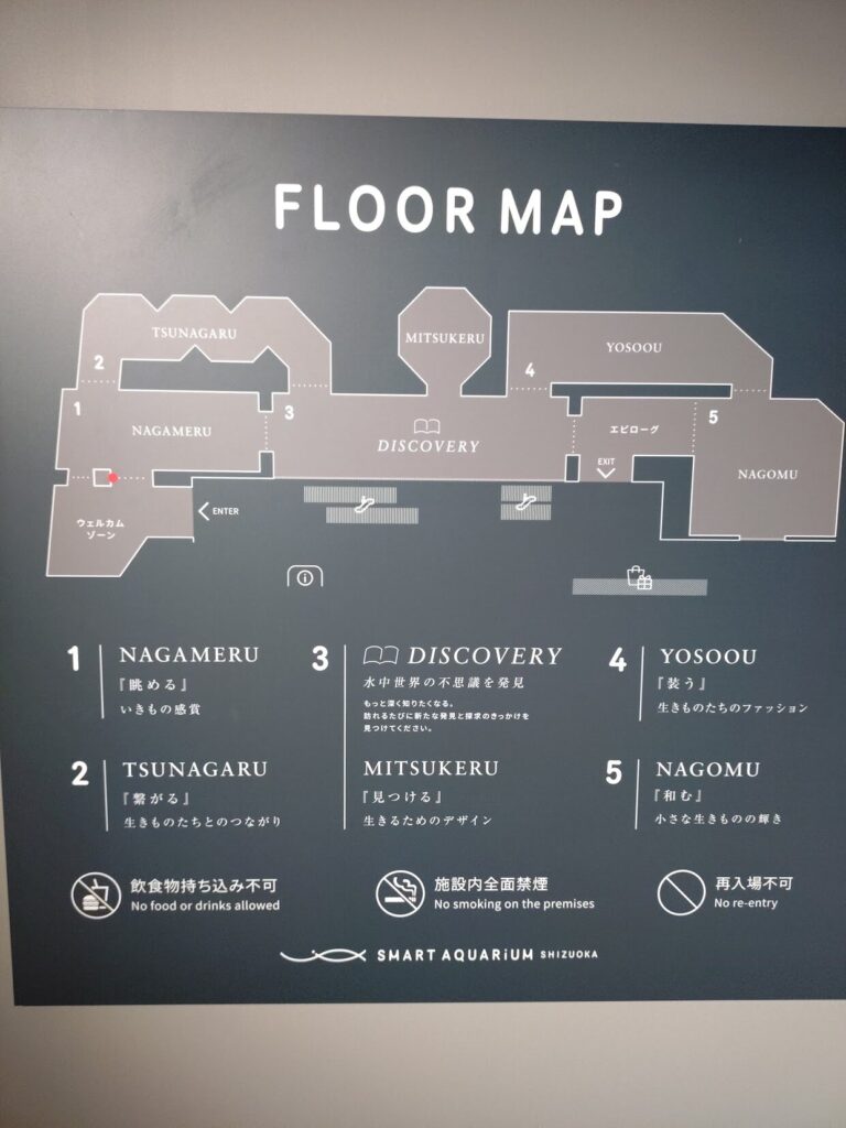 スマートアクアリウム,静岡,水族館,松坂屋,アクアリウム,
静岡,子連,室内,デート,おススメ,定休日,駐車場,料金,いくら,営業時間,雨の日,遊び場,観光,子ども,  