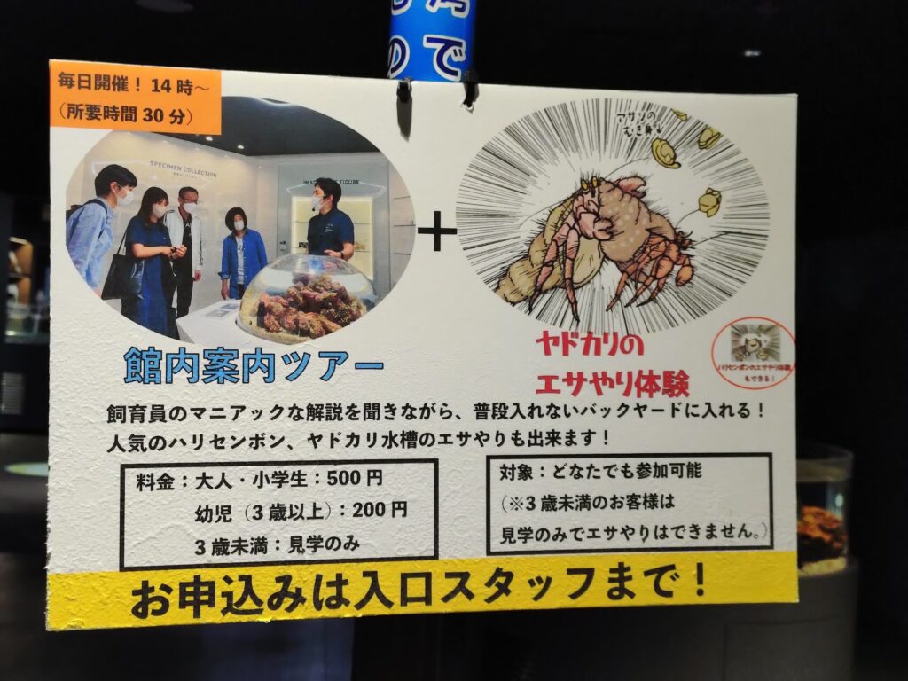 スマートアクアリウム,静岡,水族館,松坂屋,アクアリウム,
静岡,子連,室内,デート,おススメ,定休日,駐車場,料金,いくら,営業時間,雨の日,遊び場,観光,子ども,  