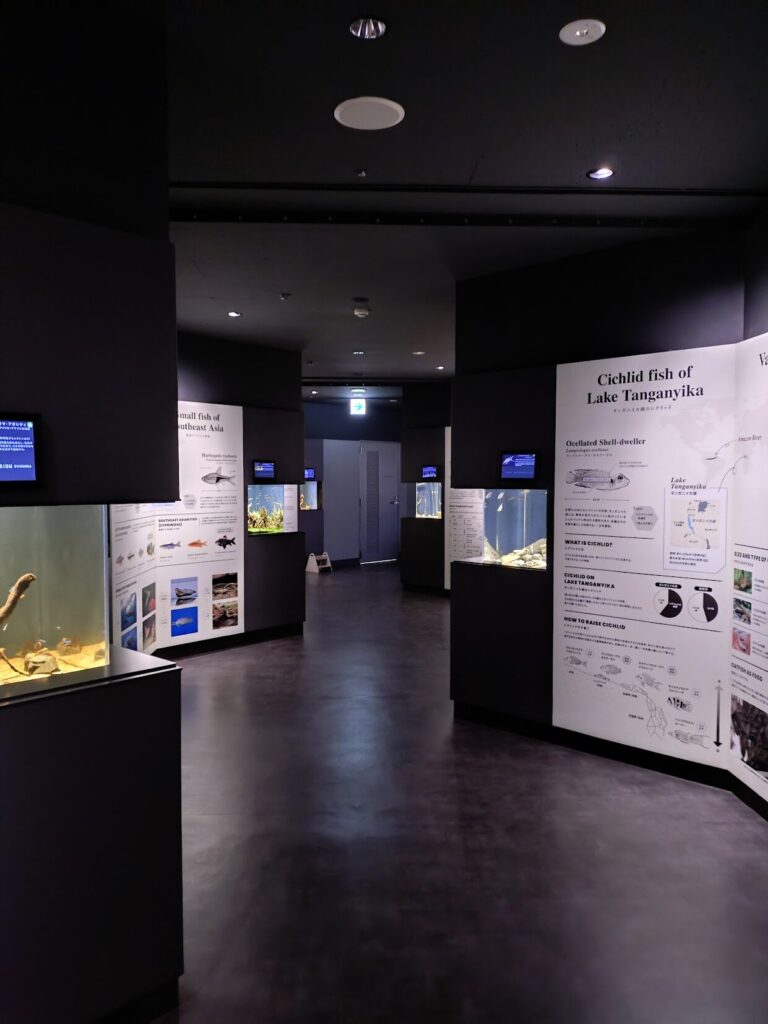 スマートアクアリウム,静岡,水族館,松坂屋,アクアリウム,
静岡,子連,室内,デート,おススメ,定休日,駐車場,料金,いくら,営業時間,雨の日,遊び場,観光,子ども,  