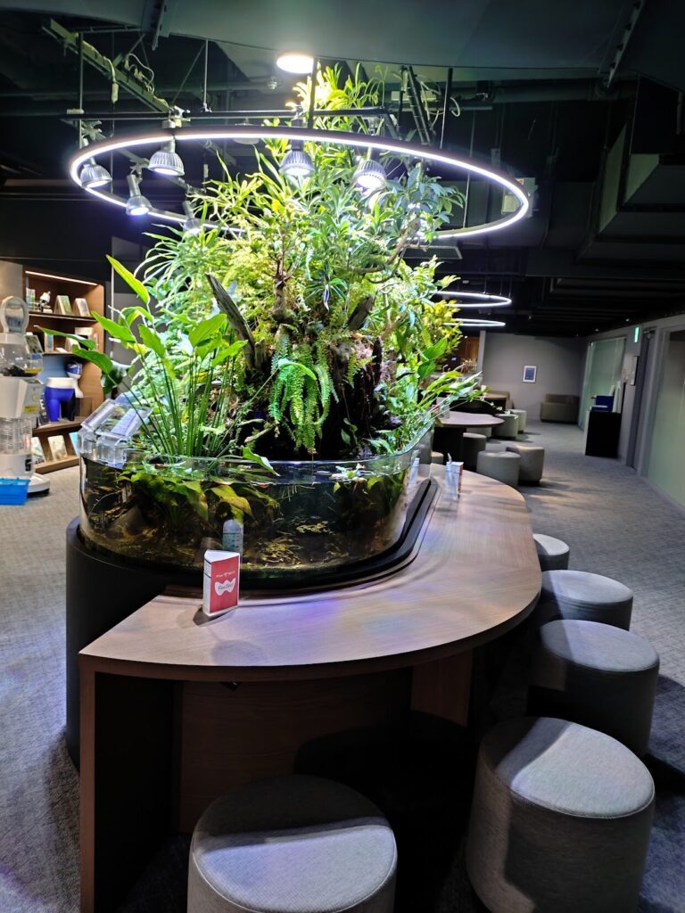 スマートアクアリウム,静岡,水族館,松坂屋,アクアリウム,
静岡,子連,室内,デート,おススメ,定休日,駐車場,料金,いくら,営業時間,雨の日,遊び場,観光,子ども,  