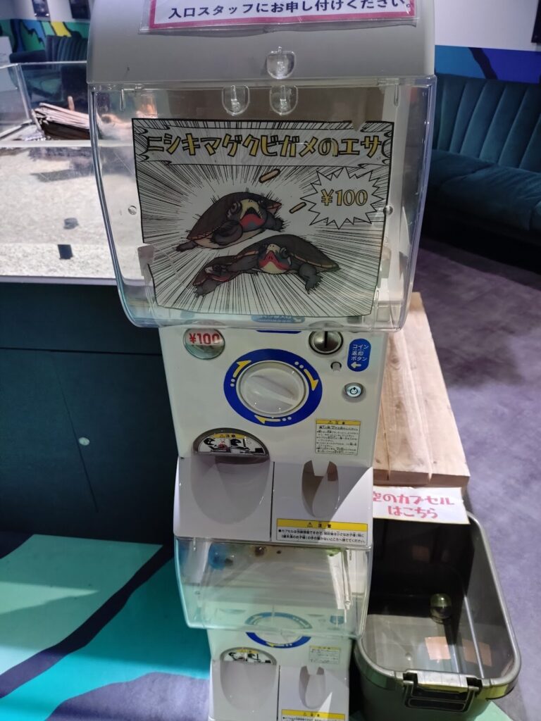 スマートアクアリウム,静岡,水族館,松坂屋,アクアリウム,
静岡,子連,室内,デート,おススメ,定休日,駐車場,料金,いくら,営業時間,雨の日,遊び場,観光,子ども,  