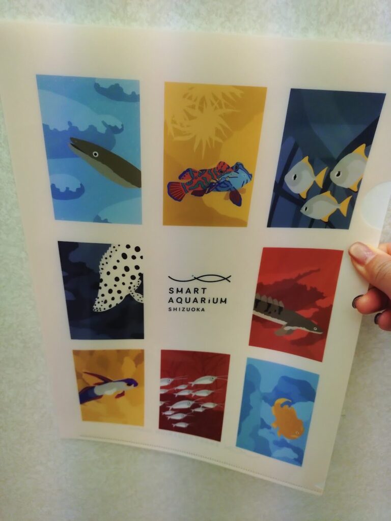 スマートアクアリウム,静岡,水族館,松坂屋,アクアリウム,
静岡,子連,室内,デート,おススメ,定休日,駐車場,料金,いくら,営業時間,雨の日,遊び場,観光,子ども,  