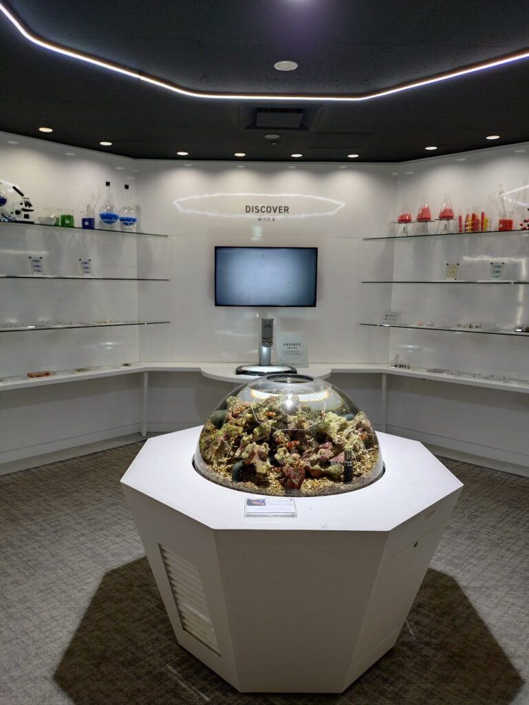 スマートアクアリウム,静岡,水族館,松坂屋,アクアリウム,
静岡,子連,室内,デート,おススメ,定休日,駐車場,料金,いくら,営業時間,雨の日,遊び場,観光,子ども,  