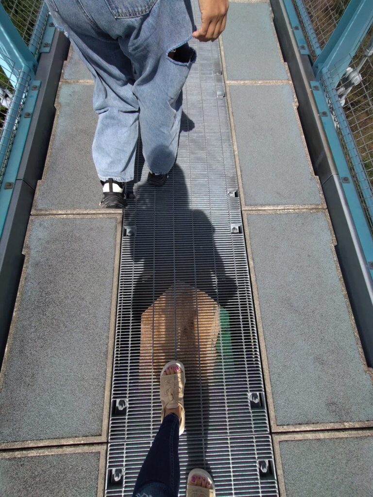 三島スカイウォーク,三島,スカイウォーク,静岡,観光,絶景スポット,吊り橋,駐車場,富士山,見える,子ども,カップル,デート,家族,駐車場,定休日,ランチ,アクティビティ,雨の日,見どころ,モデル,料金,アクティビティ,犬