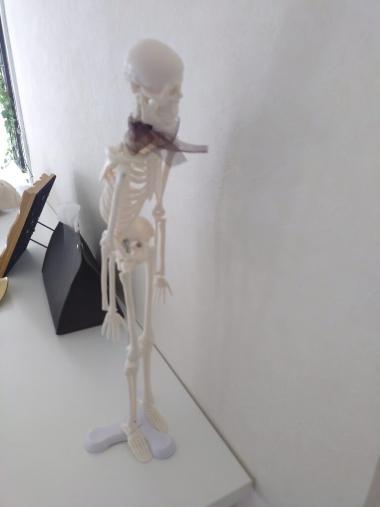 吉田町 ,リラクゼーション ,筋膜リリース , 静岡 ,女性専用サロン ,肩こり ,改善むくみ ,解消 ,隠れ家 ,サロン ,吉田町 , プライベートサロン ,子ども連れ,駐車場,どこ,定休日,Bliss Fascia,ブリスファシア