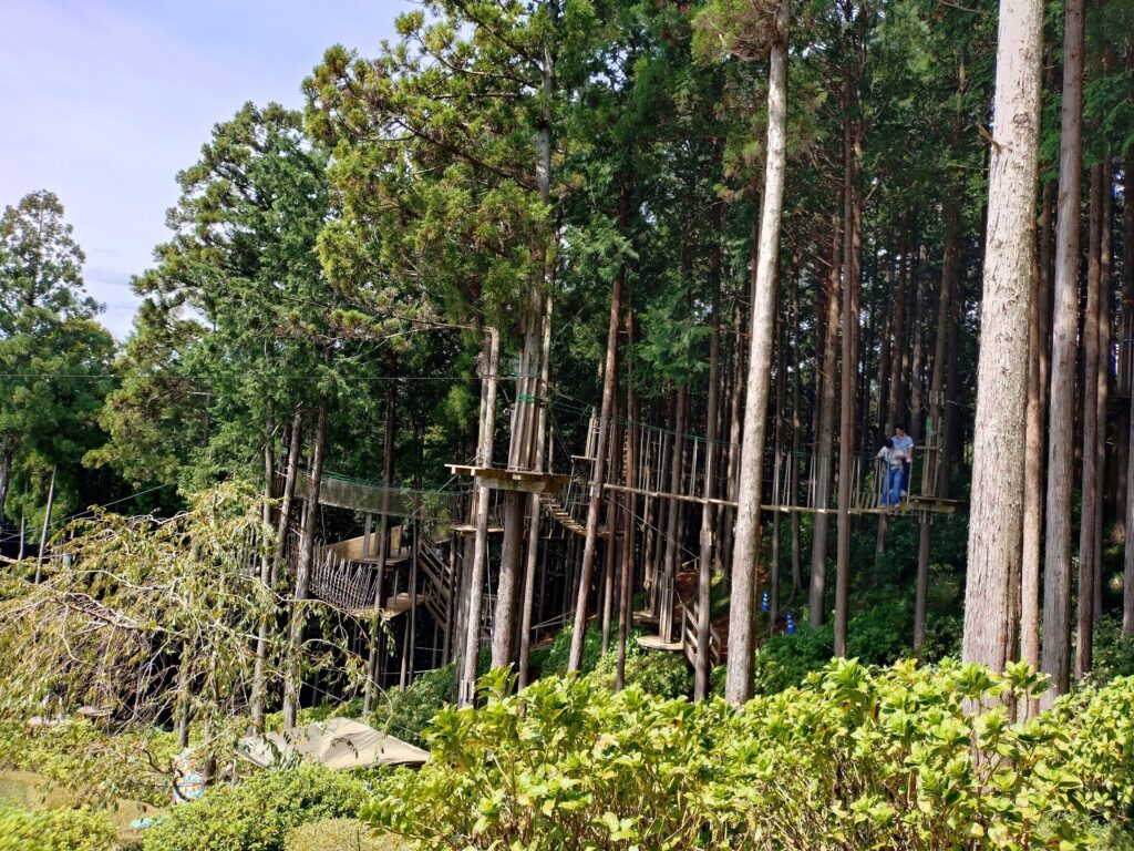 三島スカイウォーク,三島,スカイウォーク,静岡,観光,絶景スポット,吊り橋,駐車場,富士山,見える,子ども,カップル,デート,家族,駐車場,定休日,ランチ,アクティビティ,雨の日,見どころ,モデル,料金,アクティビティ,犬