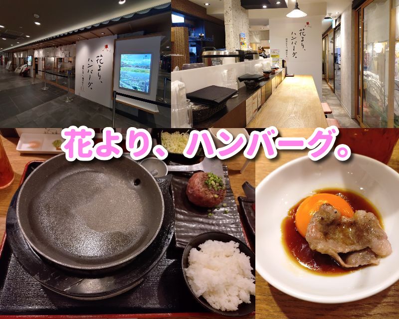 花より、ハンバーグ。,静岡,駐車場,場所,どこ,アスティ,ASTY,ハンバーグ,ランチ,ディナー,定休日,営業時間,グルメ,肉,駅,近,メニュー,