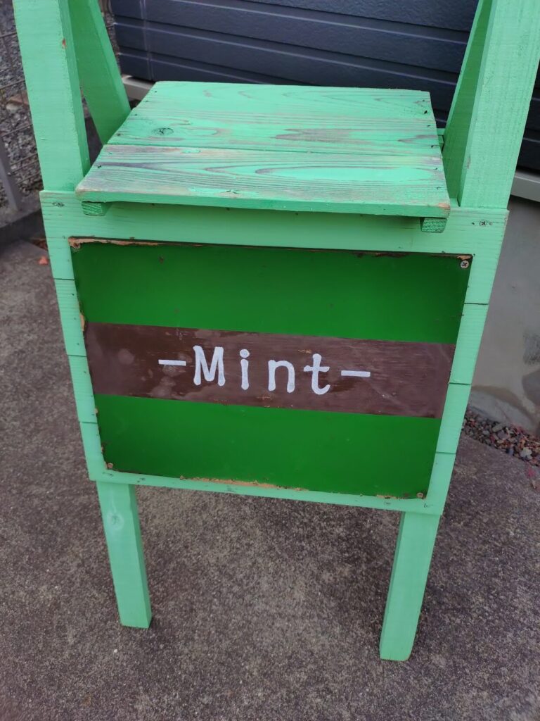 二の腕,痩せ,清水,静岡,ダイエット,ミント,二の腕デザイン,Mint,痩身,よもぎ蒸し,パーソナルカラー,痩身サロン,定休日,営業時間,駐車場,効果,レビュー,筋膜リリース,リンパ