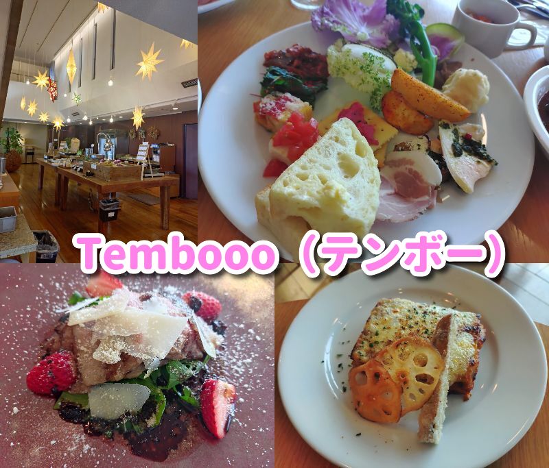 イタリアン,ビュッフェ,食べ放題,テンボー,高級,新聞社,静岡,グルメ,富士山,定休日,営業時間,オススメ,s駿河区,ランチ,子ども連れ,ベビーカー,