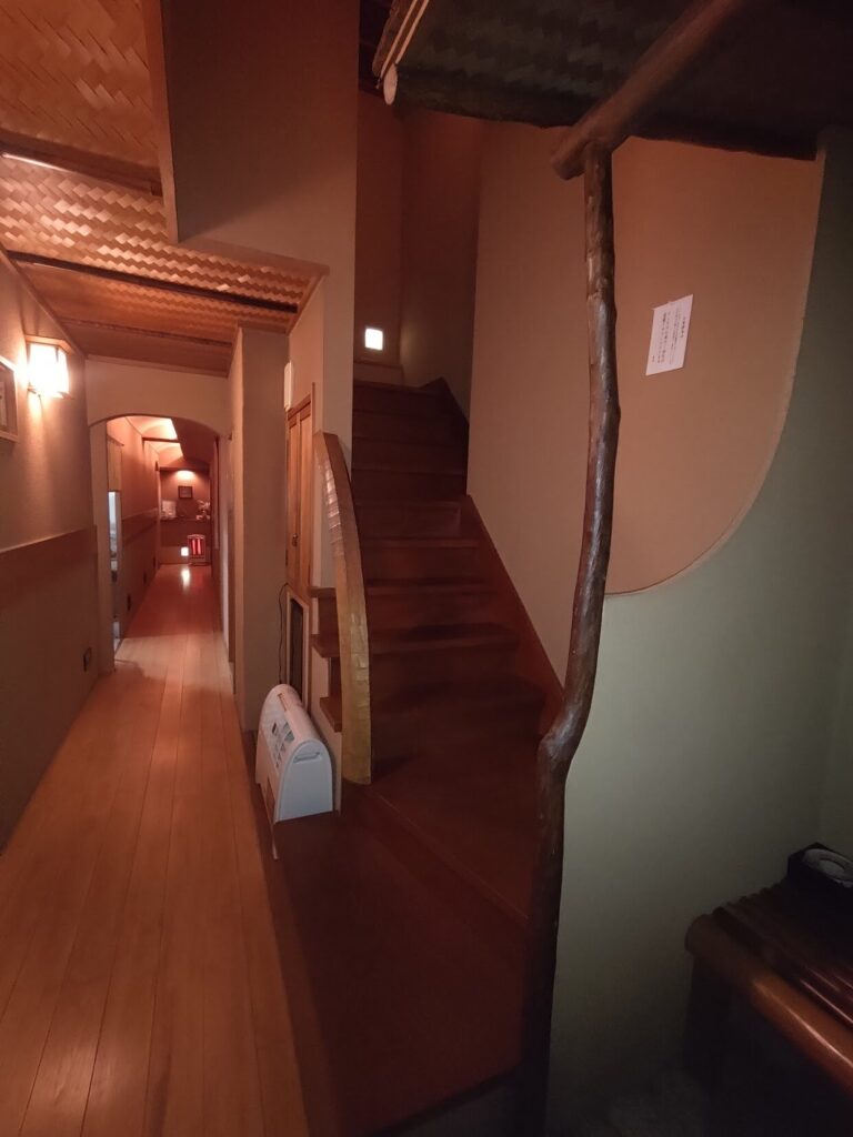 静岡駅 辻 ランチ, 静岡駅 和食 ランチ, 静岡 辻 野菜天丼, 静岡駅 天丼 ランチ,静岡,ランチ,和食,おススメ,ワンコイン,辻,天丼,