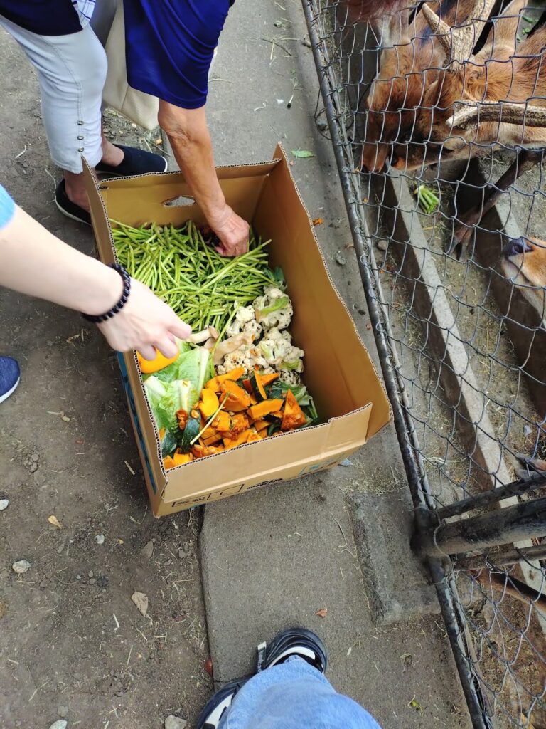 三島大社,福太郎餅, 三島, 鹿, 観光, グルメ, 感想, 食べ歩き, 静岡,神社 ,三島,おでかけ,見どころ, 子連れ,家族,子ども,初詣,駐車場,営業時間,福太郎,