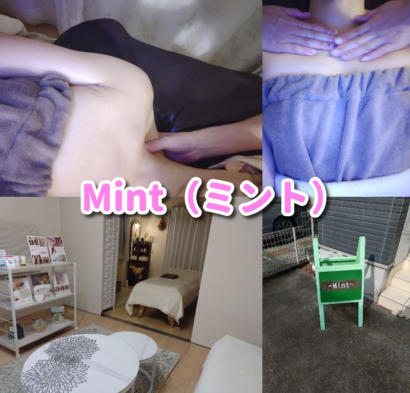 二の腕,痩せ,清水,静岡,ダイエット,ミント,二の腕デザイン,Mint,痩身,よもぎ蒸し,パーソナルカラー,痩身サロン,定休日,営業時間,駐車場,効果,レビュー,筋膜リリース,リンパ,ヘッドスパ,リフトアップ,小顔