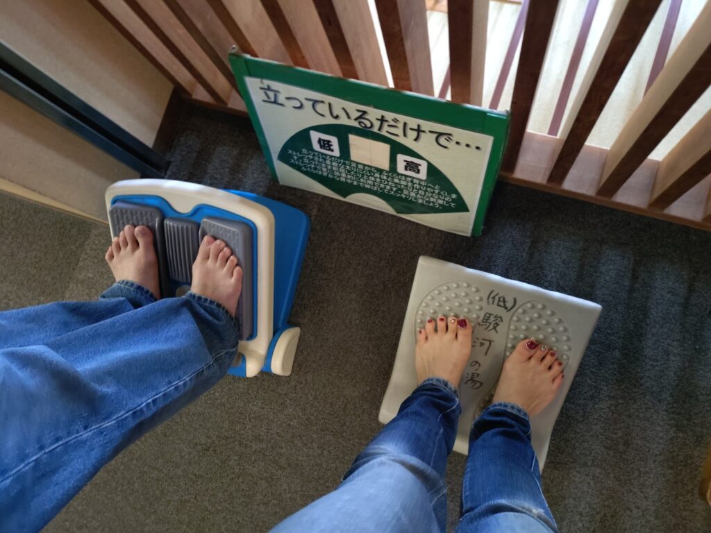 沼津温泉,駿河の湯 坂口屋, 沼津, 温泉,日帰り, 岩盤浴, サウナ,口コミ, スーパー銭湯, おすすめ,食事,メニュー,花するが.食事処,タトゥー,刺青,オムツ,子ども,定休日,営業時間