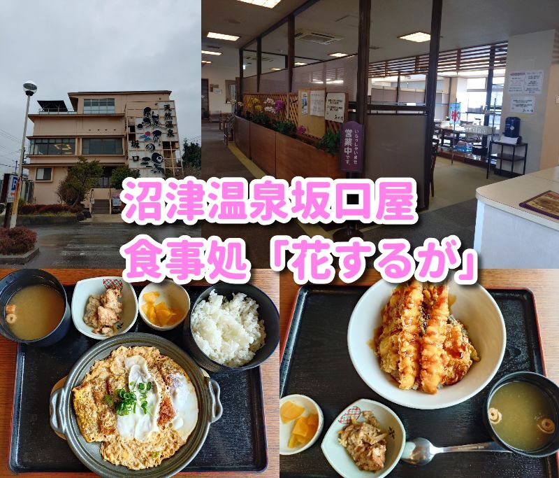 沼津温泉,坂口屋,食事, 駿河の湯,ランチ, 沼津,花するが, 食事処, 食事のみ, メニュー,食事だけ,定休日,営業時間,駐車場,