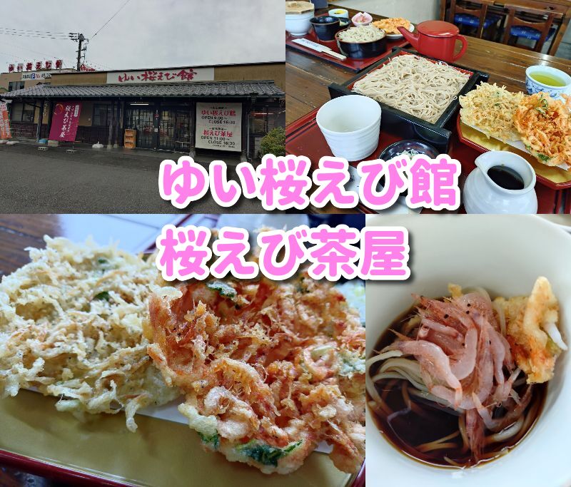 ゆい桜えび館,静岡,観光,清水,見学,子ども,桜えび,サクラエビ,由比,ランチ,定休日,駐車場,お土産,かき揚げ,しらす,定食,そば,まぐろ,天ぷら,桜えび茶屋,お土産,