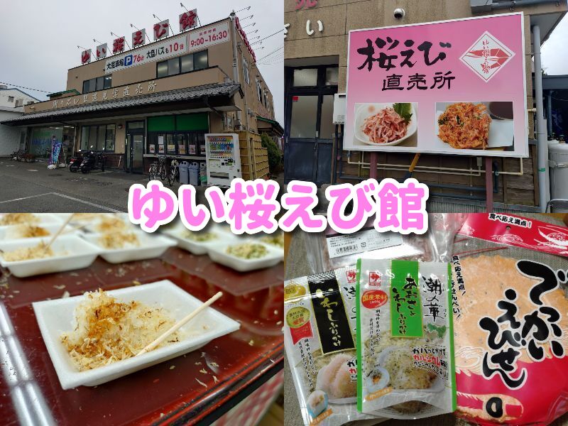 ゆい桜えび館,静岡,観光,清水,見学,子ども,桜えび,サクラエビ,由比,ランチ,定休日,駐車場,お土産,