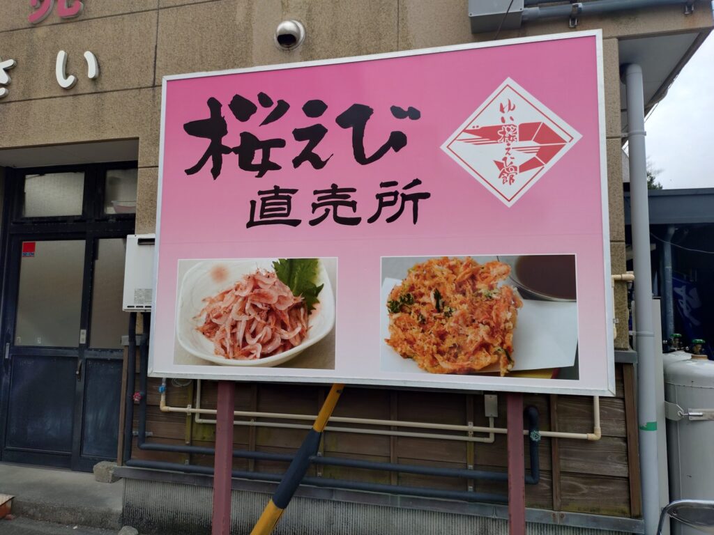 ゆい桜えび館,静岡,観光,清水,見学,子ども,桜えび,サクラエビ,由比,ランチ,定休日,駐車場,お土産,かき揚げ,しらす