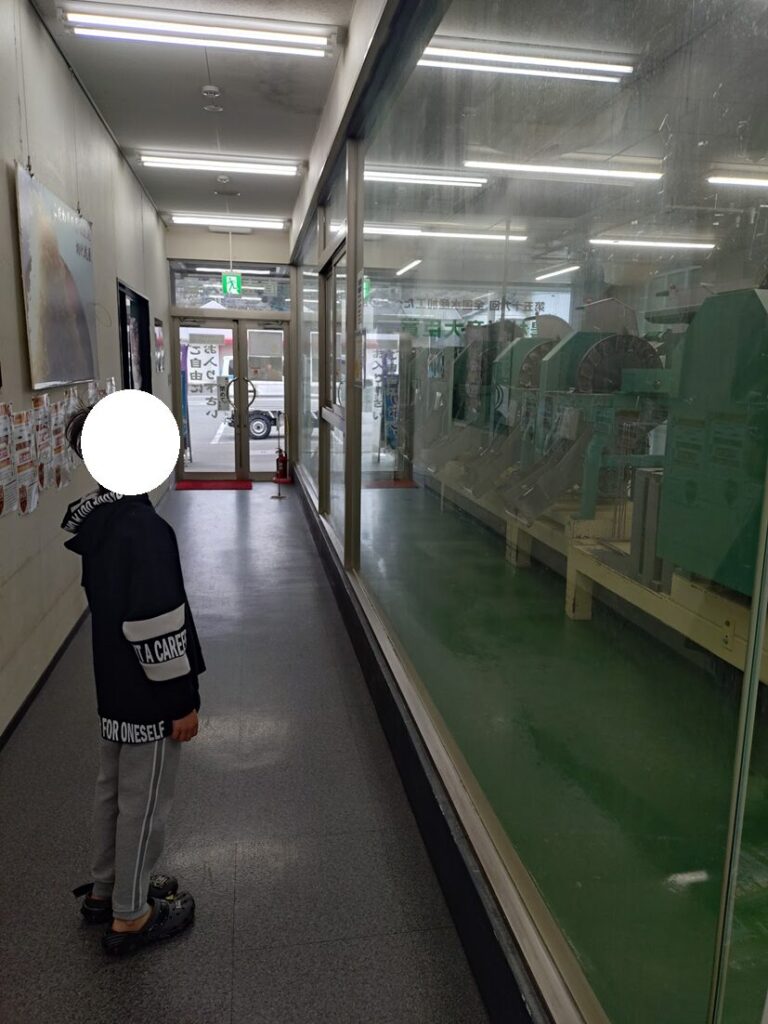 ゆい桜えび館,静岡,観光,清水,見学,子ども,桜えび,サクラエビ,由比,ランチ,定休日,駐車場,お土産,かき揚げ,しらす