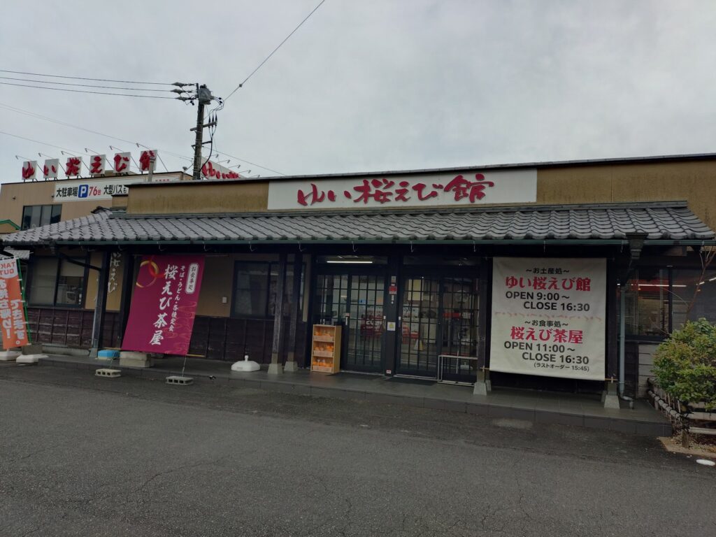 ゆい桜えび館,静岡,観光,清水,見学,子ども,桜えび,サクラエビ,由比,ランチ,定休日,駐車場,お土産,かき揚げ,しらす,定食,そば,まぐろ,天ぷら,桜えび茶屋