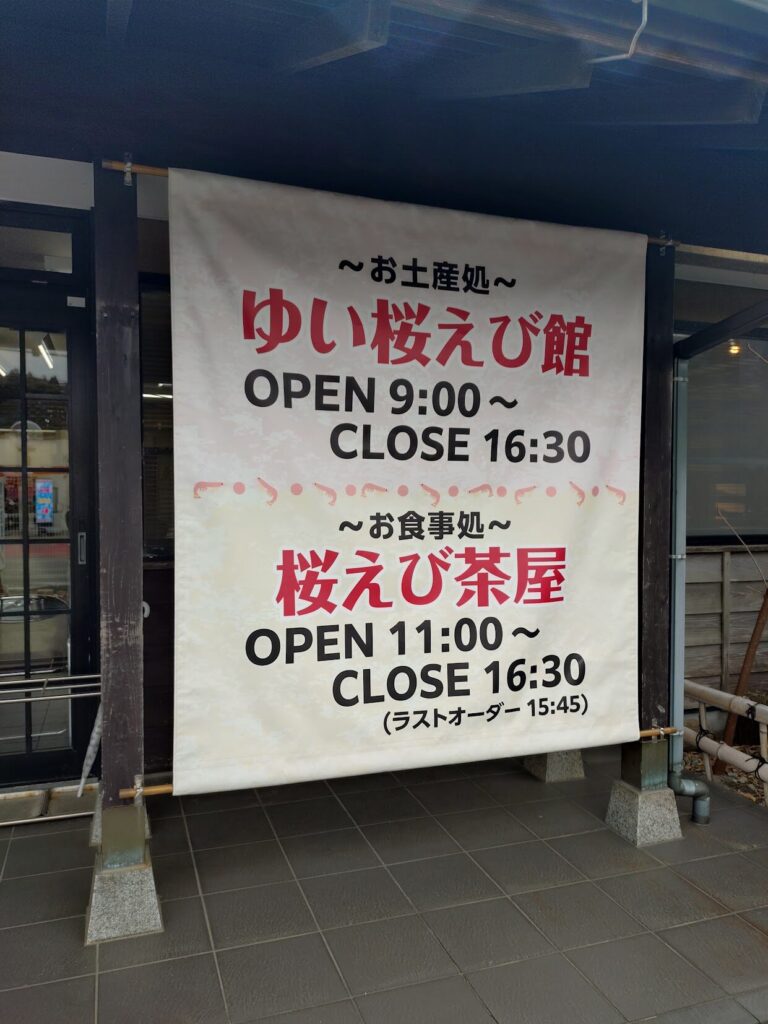 ゆい桜えび館,静岡,観光,清水,見学,子ども,桜えび,サクラエビ,由比,ランチ,定休日,駐車場,お土産,かき揚げ,しらす,定食,そば,まぐろ,天ぷら,桜えび茶屋,お土産,