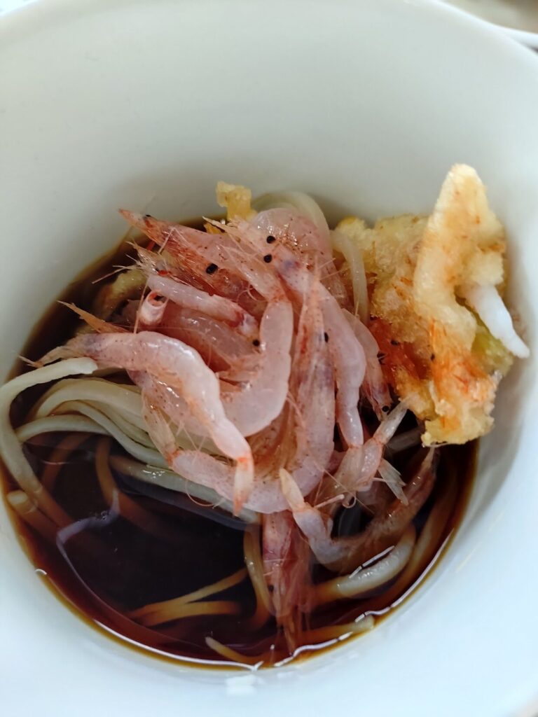 ゆい桜えび館,静岡,観光,清水,見学,子ども,桜えび,サクラエビ,由比,ランチ,定休日,駐車場,お土産,かき揚げ,しらす,定食,そば,まぐろ,天ぷら,桜えび茶屋